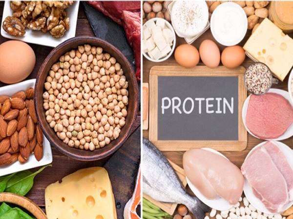 Protein có trong thực phẩm nào? Làm sao để bổ sung protein đúng cách?
