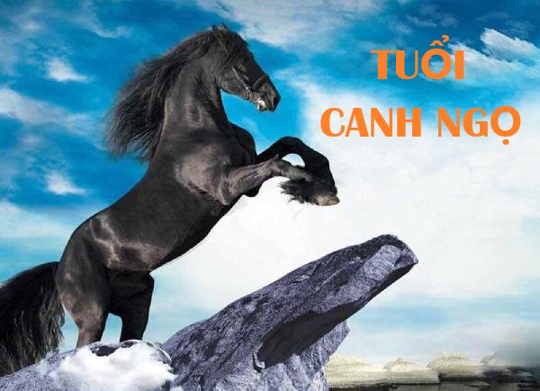 Con số may mắn của tuổi Canh Ngọ hôm nay