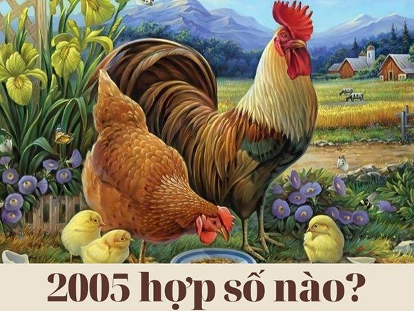 Mệnh Thủy 2005 hợp số nào gặp may bất ngờ?