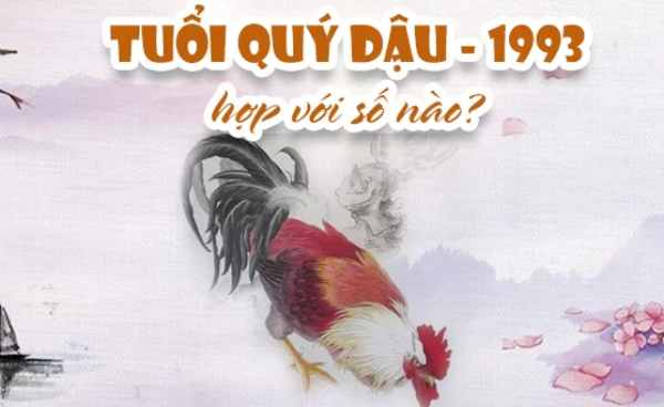 Khám phá mệnh Kim 1993 hợp số nào để hút tài vận về nhà