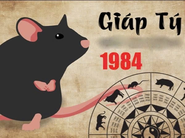 Tuổi Giáp Tý 1984 hợp với con số nào cho tài vận nở rộ?
