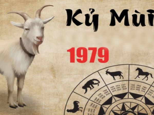 Tuổi Kỷ Mùi 1979 hợp số mấy theo phong thủy ngũ hành?