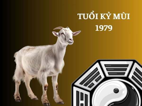 Luận giải tuổi Kỷ Mùi 1979 hợp số mấy, có số nào may?
