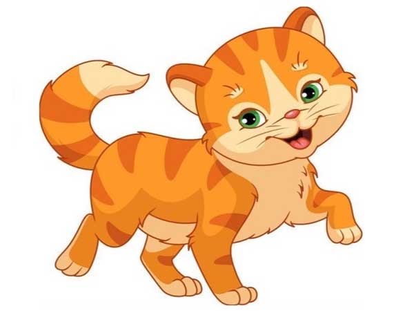 Con số may mắn tuổi Mão ngày 28/6/2025 tài lộc