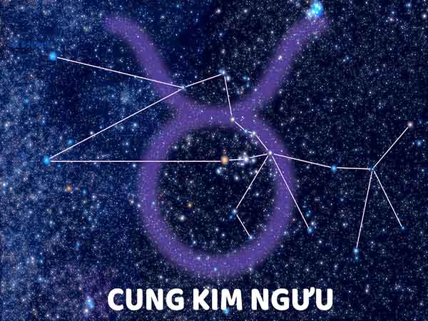 Vài nét về tử vi cung Kim Ngưu hôm nay ngày 4/7/2025 thứ 6