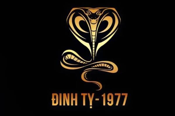 Vận trình tử vi tuổi Đinh Tỵ hôm nay 20/9/2025