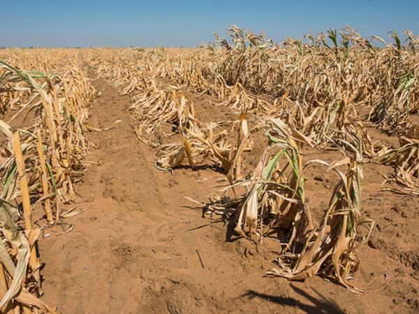 Giải mã nằm mơ thấy hạn hán có thông điệp gì?