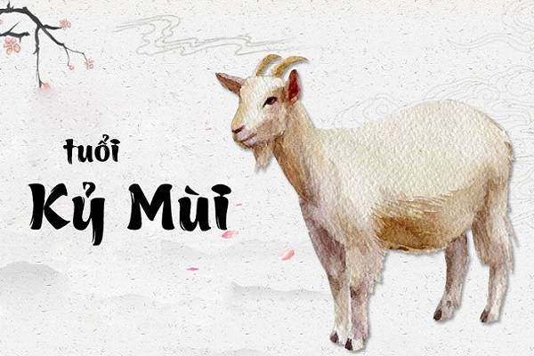 Giải mã con số đẹp tuổi Kỷ Mùi 19/9/2025 có đổi vận sự nghiệp?
