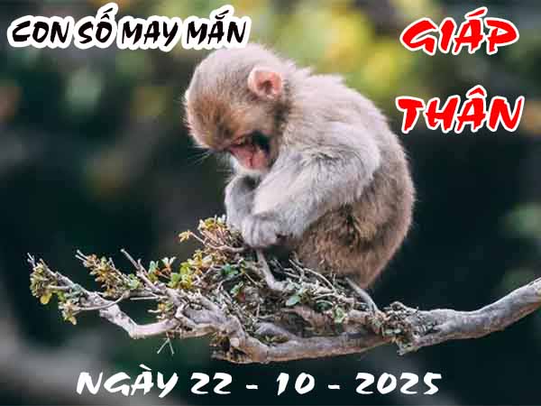 Con số may mắn tuổi Giáp Thân ngày 22/10/2025 thứ 4 hôm nay