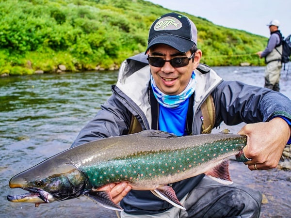 Giải mã ý nghĩa nằm mơ thấy đi bắt cá con số gì may mắn?