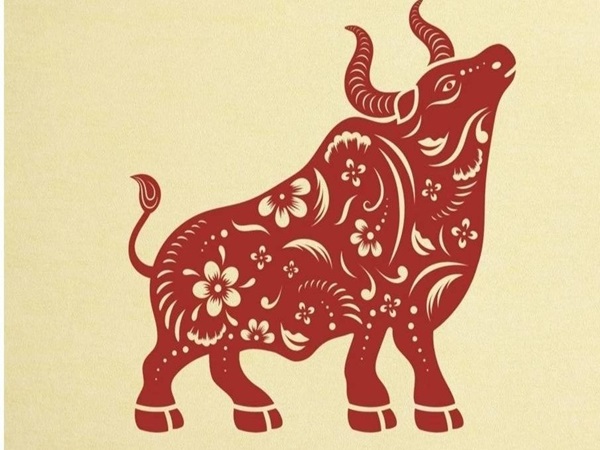 Con số may mắn ngày 17/04/2026 tuổi Sửu mang vận may