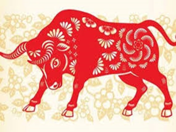 Con số may mắn ngày 17/04/2026 tuổi Sửu mang tài lộc đến