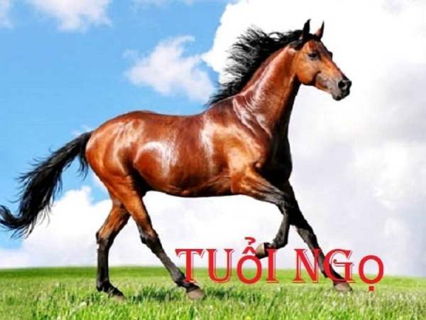 Vượng phát với con số may mắn ngày 11/4/2026 thứ 7 tuổi Ngọ