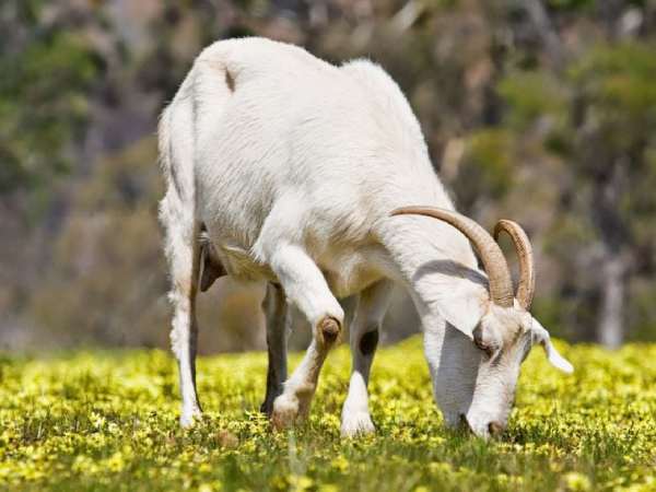 Con số may mắn ngày 16 tháng 4 năm 2026 theo phong thủy