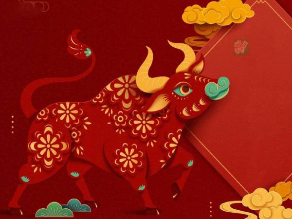 Luận giải con số may mắn ngày 24/5/2026 tuổi Sửu chi tiết