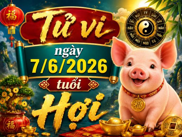 Tổng quan vận trình tử vi ngày 7/6/2026 tuổi Hợi