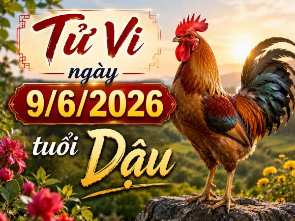 Tổng quan tử vi tuổi Dậu ngày 9/6/2026 có gì đặc biệt?