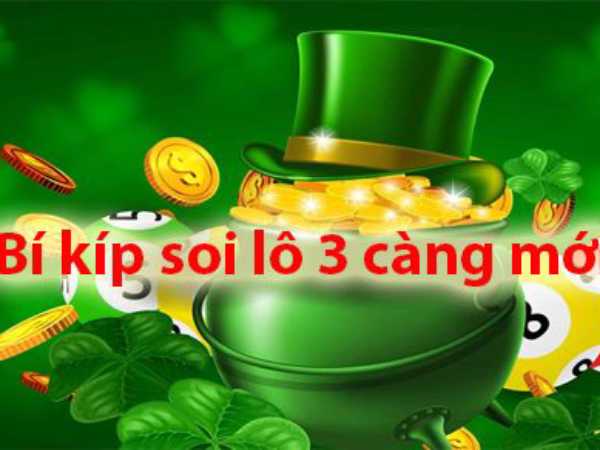 Lô 3 càng là gì? Lô 3 càng là gì?